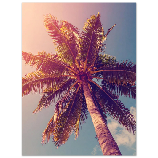 51bbf1a6-3f9d-4bf1-ae05-bad2e5d0ee3d