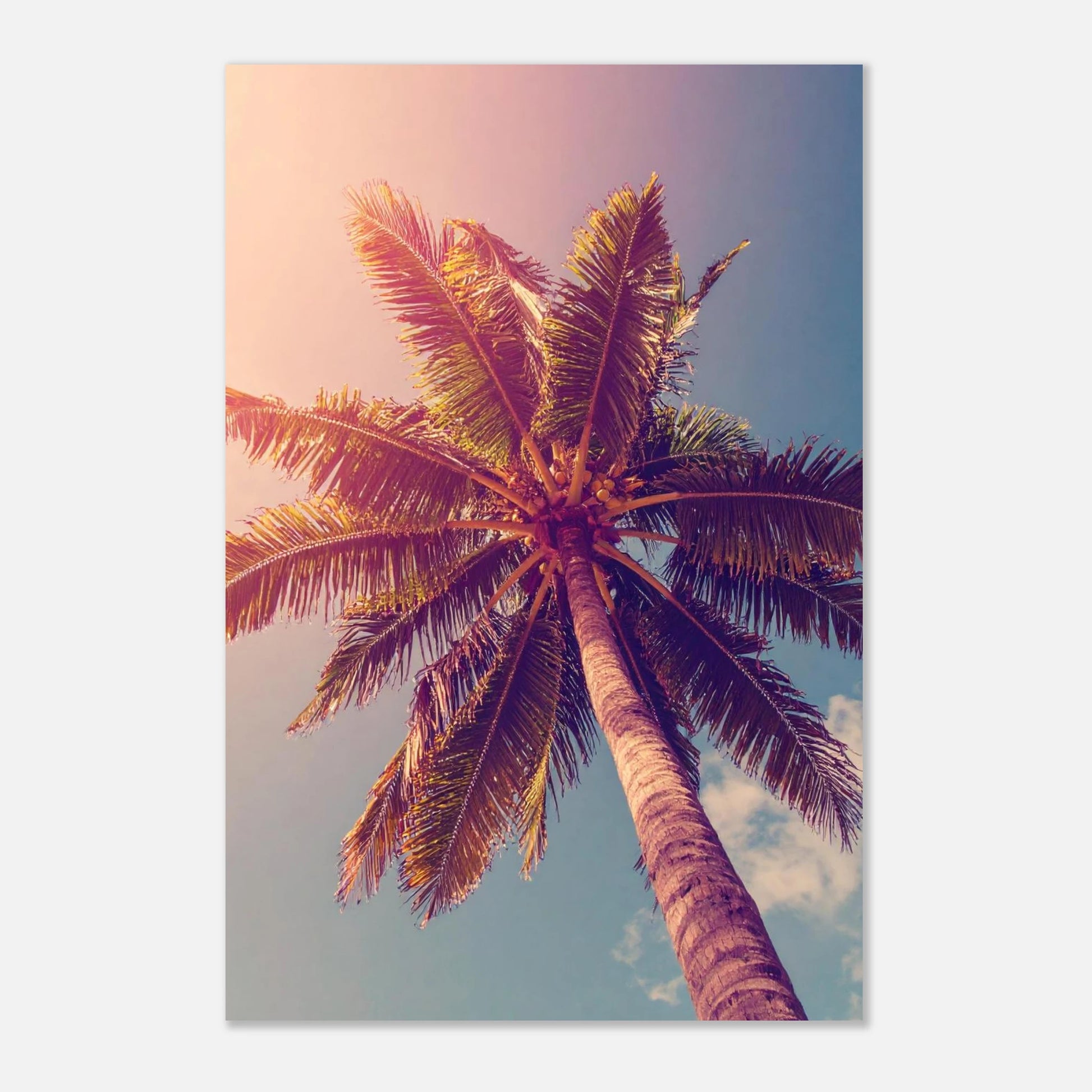 58b60d11-0fa2-49f4-ad89-5d800c888509