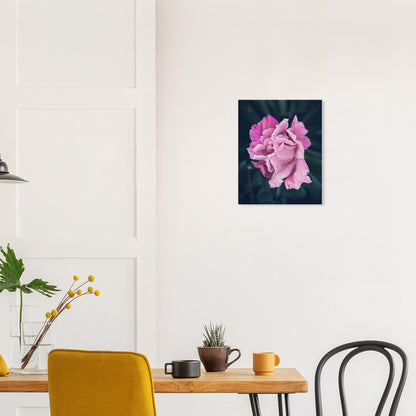 Elegant Pink Rose - Nature Canvas Wall Art Print Dining Room