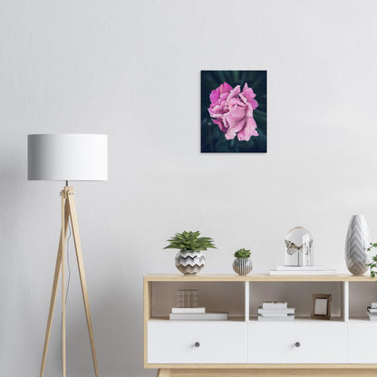 Elegant Pink Rose - Nature Canvas Wall Art Print Living Room