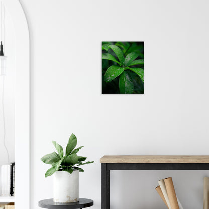 Vibrant Green Tropical Leaves with Rain Drops - Nature Canvas Wall Art Print Hallway