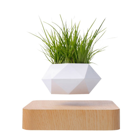 Light brown base with a white geometric levitating plant pot, featuring a floating green plant. Perfect home decor.