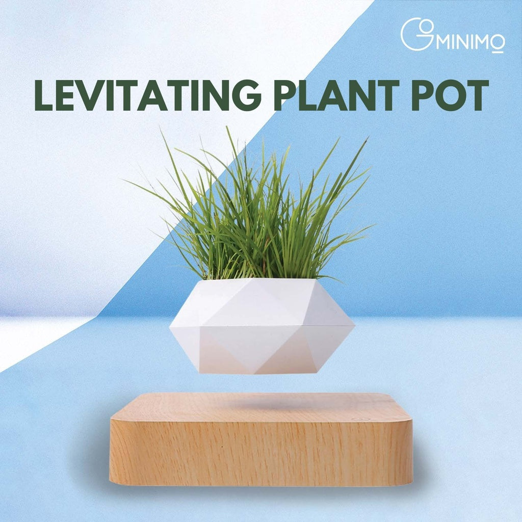 GOMINIMO light brown base floating plant pot levitates and rotates, perfect for indoor decor and gifts. Elegant hovering plant pot design.