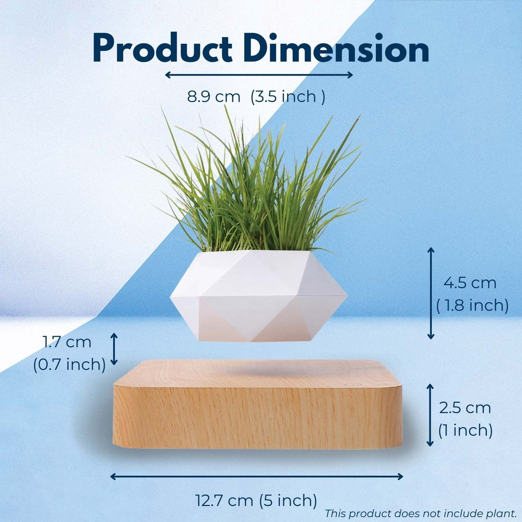 Magnetic levitating plant pot with light brown base, dimensions shown, perfect for indoor floating garden or desk decor.