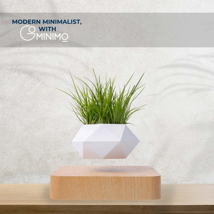 Floating plant pot with light brown base, showcasing a modern minimalist design by GOMINIMO. Perfect for home decor and relaxation.