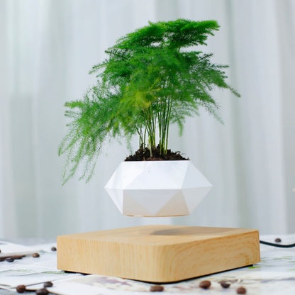 Light brown base levitating plant pot, floating plant pot with green plant, unique home decor gift, calming indoor desk decoration.