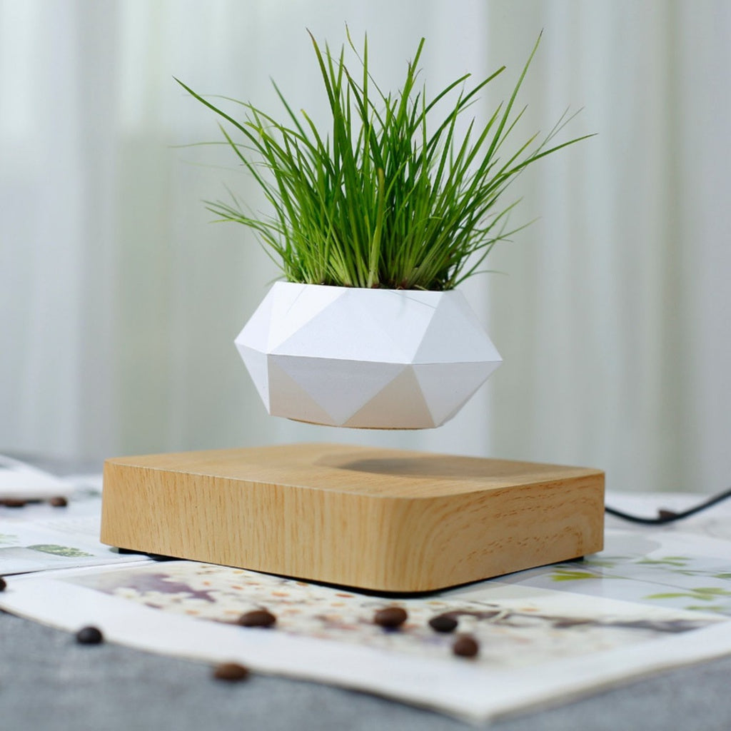 Floating plant pot with light brown base, showcasing levitating design for modern home decor. Perfect levitation plant for gifts and relaxation.