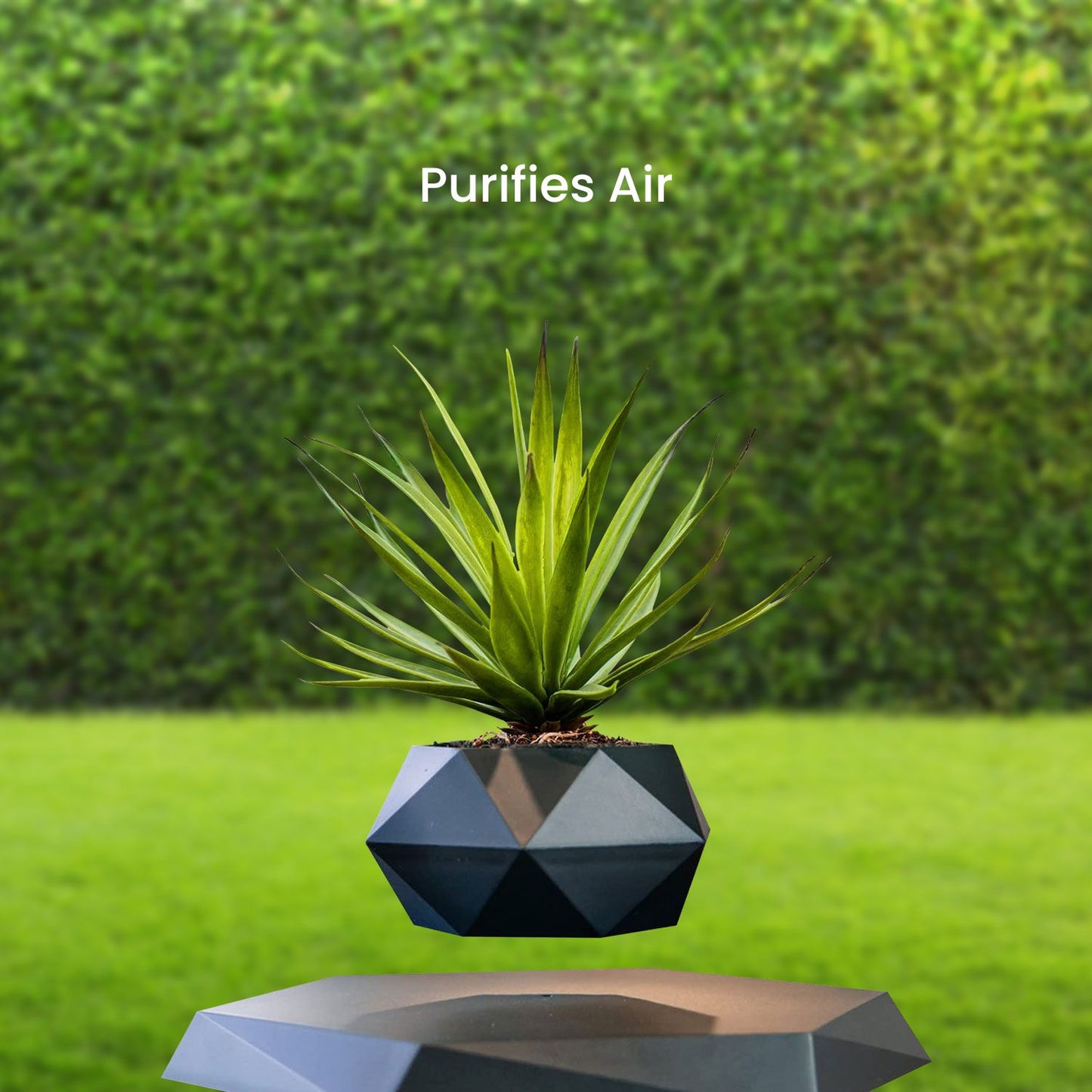 Black GOMINIMO levitating plant pot, perfect for small plants, enhances air quality. Floating elegance with a modern design.