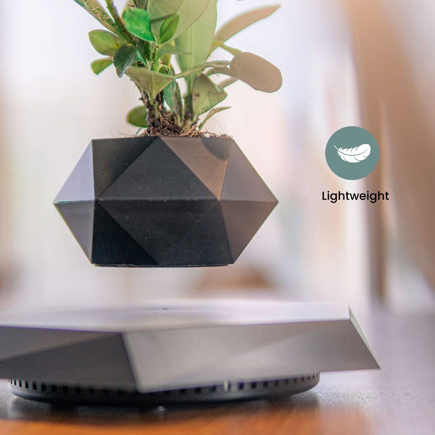 Black geometric levitating plant pot gently hovering above base, showcasing a small green plant. Perfect for bonsai or succulents.