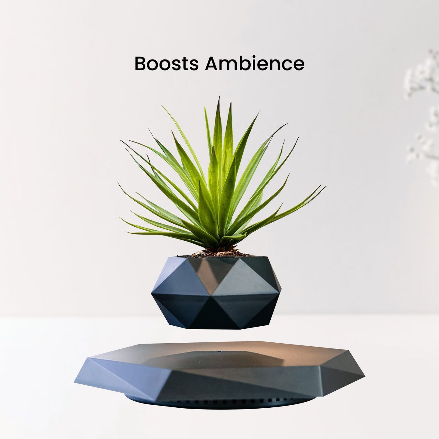 Black levitating flower pot with small plant, enhancing ambience; unique floating plant pot design for a calming effect.