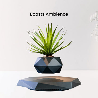 Black levitating flower pot with small plant, enhancing ambience; unique floating plant pot design for a calming effect.