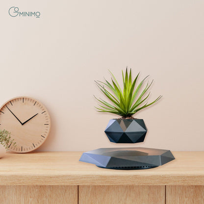 Black levitating plant pot with green plant, floating above geometric base on wooden surface, calming and eye-catching design.