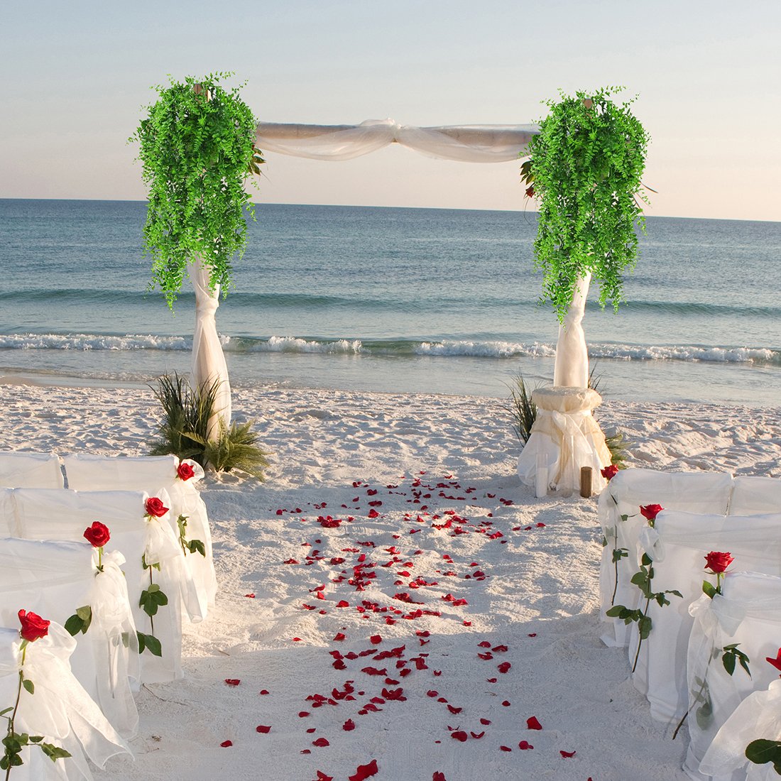 Beach wedding setup with faux green plants, white drapery, and rose petal aisle by the ocean. Perfect for outdoor ceremonies.