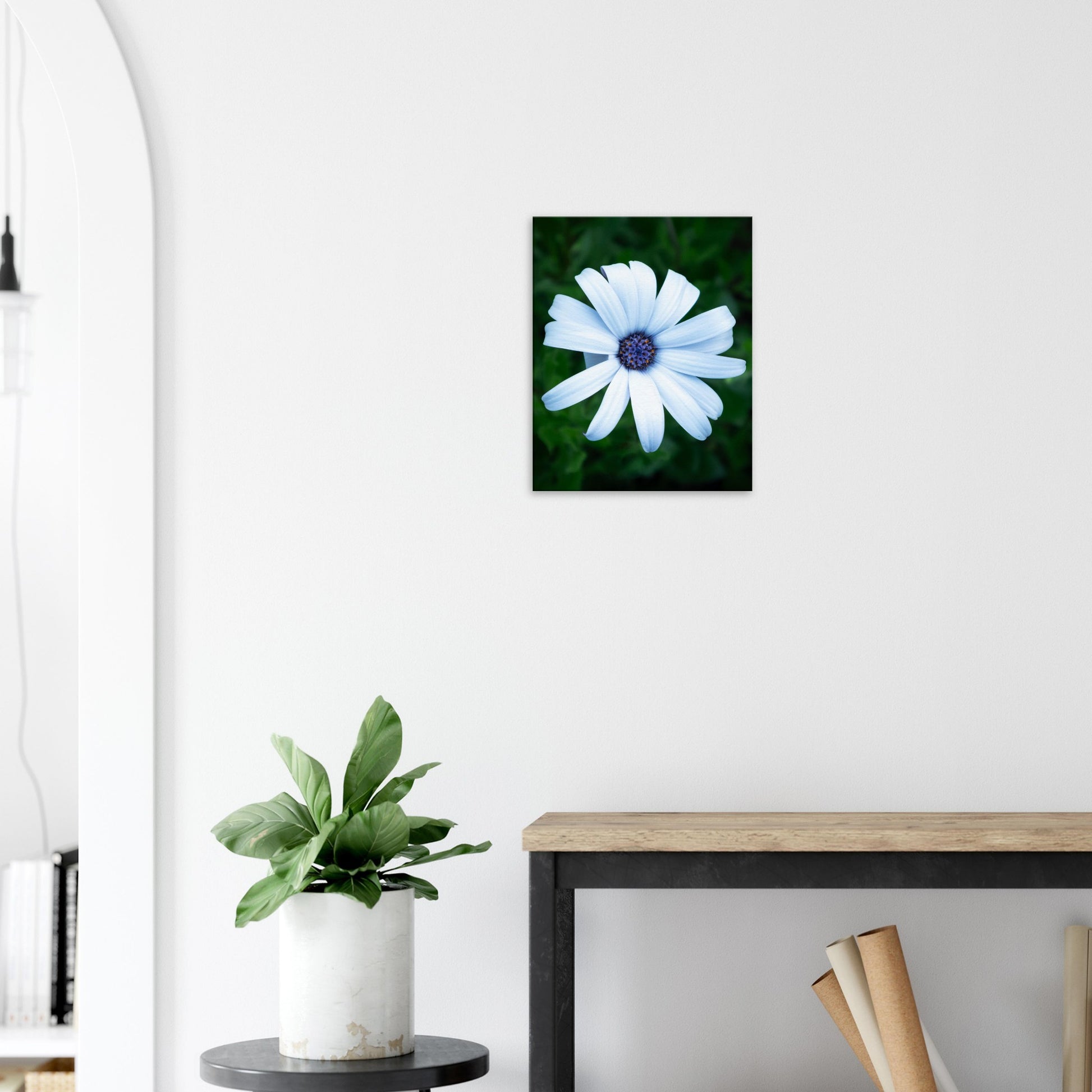 Bright White Flower with Purple Center - Nature Canvas Wall Art Print Hallway